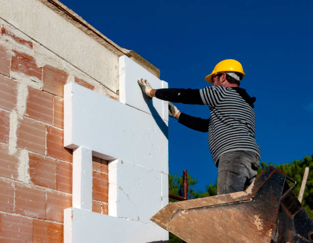 Best Wall Insulation Contractor  in Deephaven, MN