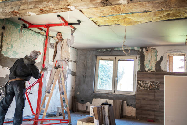 Best Insulation for New Construction  in Deephaven, MN