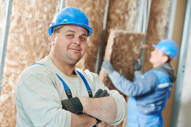 Best Insulation Removal  in Deephaven, MN