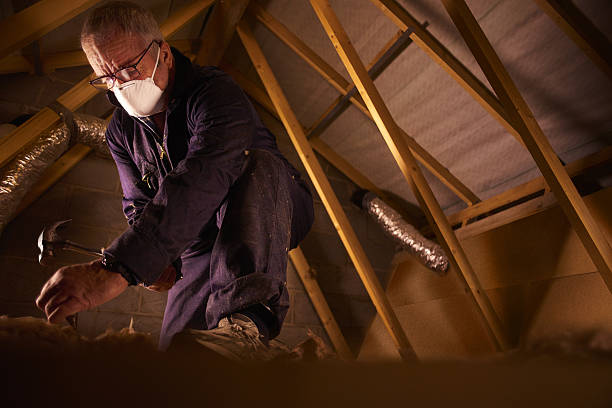 Best Spray Foam Insulation  in Deephaven, MN