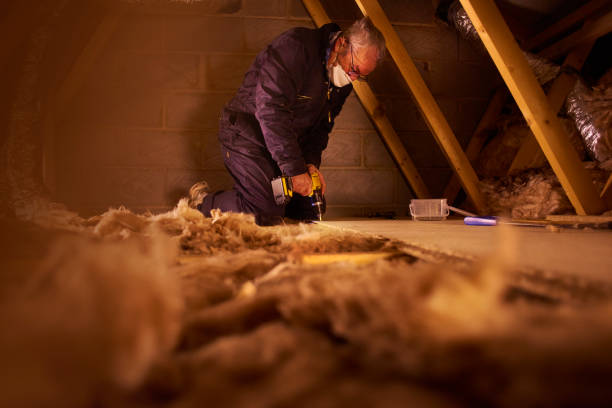 Best Spray Foam Insulation  in Deephaven, MN
